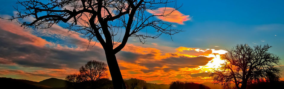 攻击网站在线工具