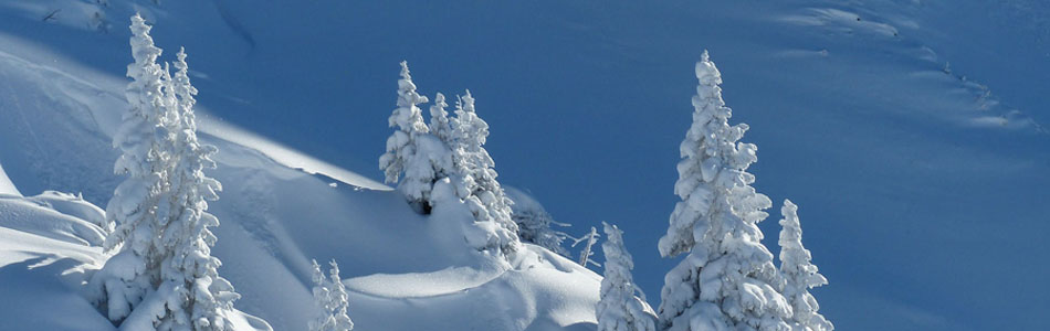 攻击网站在线工具