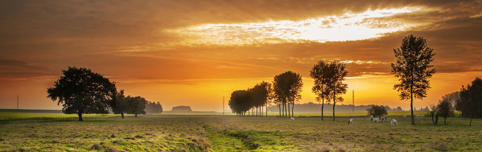 在线DDOS攻击平台